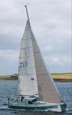 High Aspect fok Hagoort, Watersport en Boten, 6 meter of meer, Gebruikt, 15 tot 30 m², Ophalen of Verzenden