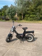 Tomos youngster geel kenteken, Fietsen en Brommers, Brommers | Tomos, Ophalen, Overige modellen, Zo goed als nieuw, 50 cc