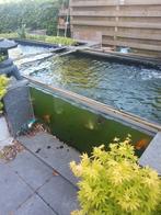 Koivijver ZONDER koi, Tuin en Terras, Vijvers, Ophalen, Gebruikt