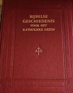 Bijbelse Geschiedenis Katholiek Gezin inclusief beschermdoos, Boeken, Ophalen of Verzenden, Gelezen, F.X.M. Schiphorst, Christendom | Katholiek