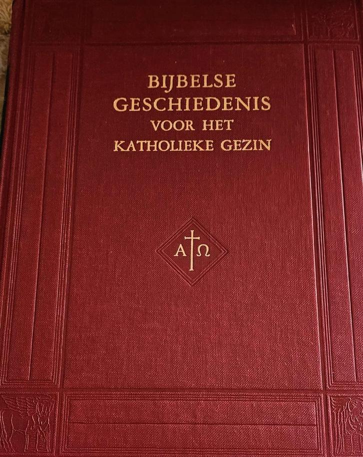 Bijbelse Geschiedenis Katholiek Gezin inclusief beschermdoos, Boeken, Godsdienst en Theologie, Gelezen, Christendom | Katholiek