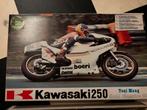 KAWASAKI KR 250 KR250 ANTON MANG PROTAR 1/9 MODELBOUW NIEUW, Overige merken, Nieuw, Ophalen of Verzenden, Groter dan 1:32