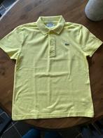 Polo shirt Lacoste, Kleding | Heren, Polo's, Maat 46 (S) of kleiner, Lacoste, Ophalen of Verzenden, Zo goed als nieuw