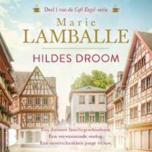 Hildes droom van Marie Lamballe, Boeken, Romans, Zo goed als nieuw, Nederland, Ophalen of Verzenden