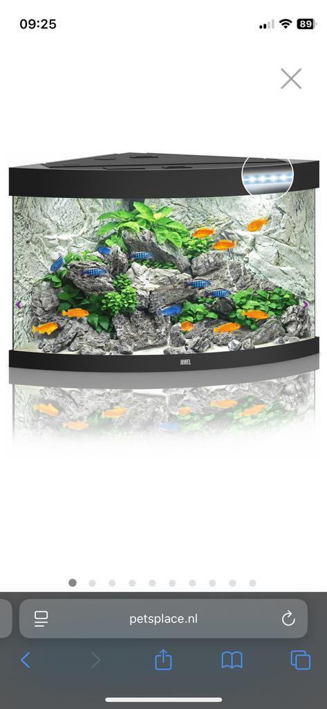 Hoekaquarium 60x60, Dieren en Toebehoren, Vissen | Aquaria en Toebehoren, Zo goed als nieuw, Leeg aquarium, Ophalen