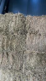 Kleine pakken hooi, Dieren en Toebehoren, Dierenvoeding, Ophalen of Verzenden, Vee