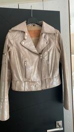 Goosecraft leer jacket, stoer jasje goud S zgan, Goosekraft, Ophalen of Verzenden, Zo goed als nieuw, Maat 36 (S)