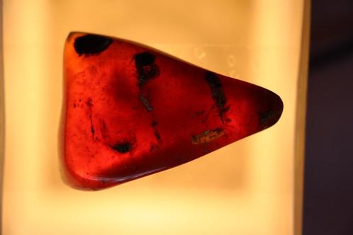 Amber (barnsteen), Verzamelen, Mineralen en Fossielen, Mineraal, Ophalen of Verzenden