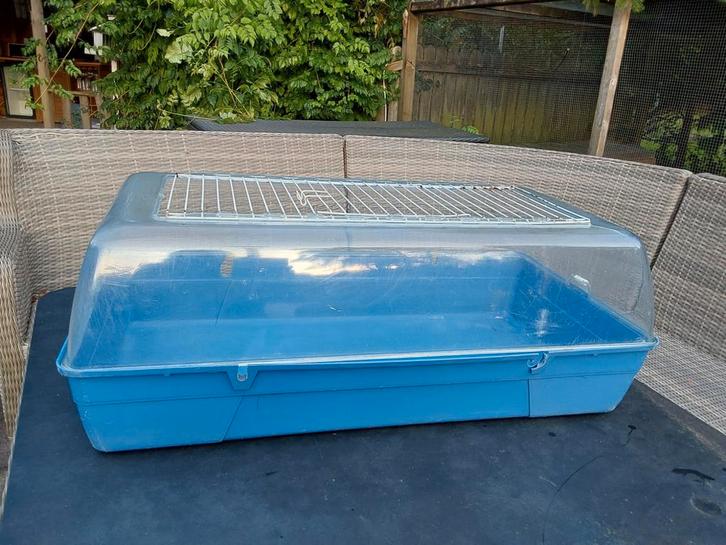 Cavia kooi cavia hok 3 stuks, Dieren en Toebehoren, Knaagdieren en Konijnen | Hokken en Kooien, Kooi, Minder dan 60 cm, 75 tot 110 cm