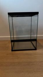 Exo Terra terrarium 30x30x40, Dieren en Toebehoren, Ophalen, Zo goed als nieuw