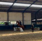 VERZORG/BIJRIJDPONY GEZOCHT, Dieren en Toebehoren, Ophalen of Verzenden