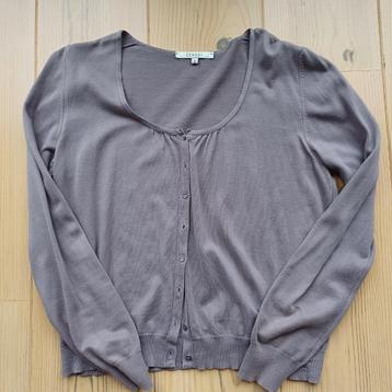 Vestje Zenggi, taupe/beige, maat 4, L, 40/42, in goede staat beschikbaar voor biedingen
