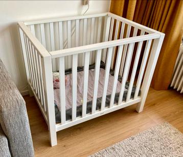 Box baby, TWF Timo, wit beschikbaar voor biedingen