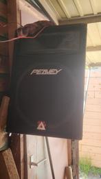 Peavey 500 xt, Zo goed als nieuw, 120 watt of meer, Front, Rear of Stereo speakers, Ophalen