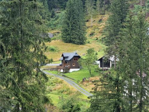Heerlijk vrijstaand vakantiehuis Oostenrijk!, Vakantie, Vakantiehuizen | Oostenrijk, Karinthië, Boerderij of Cottage, Landelijk