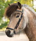 Nieuw IJslander hoofdstel Holar Blauw, Dieren en Toebehoren, Paarden en Pony's | Hoofdstellen en Tuigage, Nieuw, Overige soorten