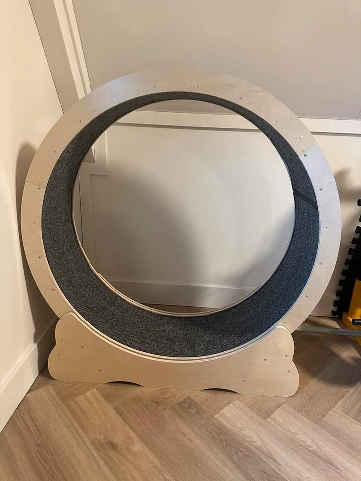 Katten loopwiel - looprad in nieuwe staat, Dieren en Toebehoren, Katten-accessoires, Nieuw, Ophalen