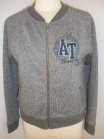 AMERICA TODAY college vest grijs glitter maat L, Kleding | Dames, Truien en Vesten, Maat 38/40 (M), Ophalen of Verzenden, Zo goed als nieuw