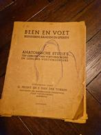 Medisch leerboek losse bladen anatomisch van der torren, Antiek en Kunst, Ophalen of Verzenden