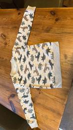 Jongens dino trui maat 104, Kinderen en Baby's, Kinderkleding | Maat 104, Ophalen of Verzenden, Zo goed als nieuw, Jongen, Trui of Vest