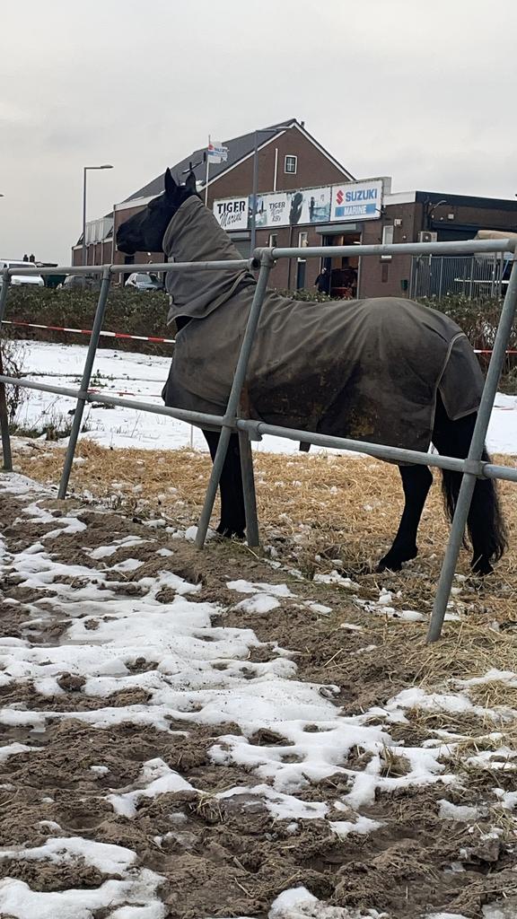 2 x buccas smart tex medium maat 195, Dieren en Toebehoren, Paarden en Pony's | Dekens en Dekjes, Ophalen of Verzenden, Zo goed als nieuw