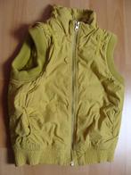 Groene bodywarmer *Jilly*, Meisje, Ophalen of Verzenden, Zo goed als nieuw, Jas