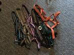 Halsters div.maten/kleuren. Gebruikt maar nog goed.Opruiming, Ophalen of Verzenden, Gebruikt, Recreatie