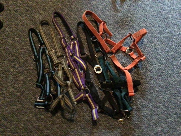 Halsters div.maten/kleuren. Gebruikt maar nog goed.Opruiming, Dieren en Toebehoren, Paarden en Pony's | Hoofdstellen en Tuigage