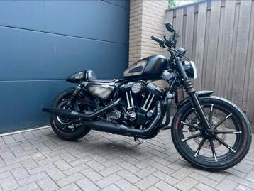 Harley-Davidson 883 Iron uit 2016 special beschikbaar voor biedingen
