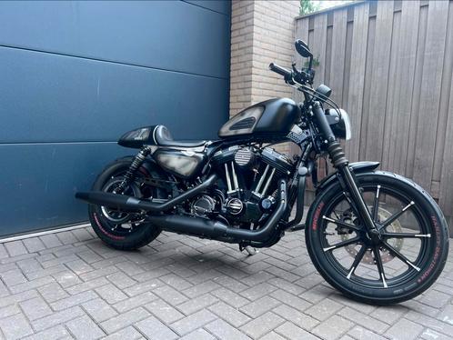Harley-Davidson 883 Iron uit 2016 special, Motoren, Motoren | Harley-Davidson, Bedrijf, Overig, meer dan 35 kW, 2 cilinders, Motorrijbewijs A