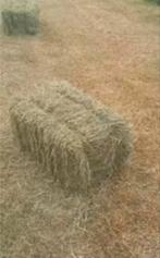 Kleine hooibaaltjes juni  eerste snit 2025, Ophalen, Overige soorten