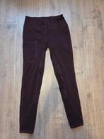 Ruiterbroek bordeaux rood maat 40 Epplejack, Dieren en Toebehoren, Paardrijkleding, Ophalen, Zo goed als nieuw, Dressuur, Schoeisel