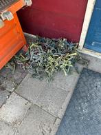 200 van thiel kruisklemmen, Ophalen, Zo goed als nieuw, Overige typen, Minder dan 2 meter