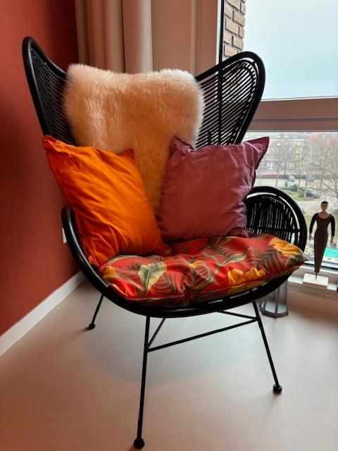 vintage vlinderstoel rotan in nieuwstaat, Huis en Inrichting, Stoelen, Zo goed als nieuw, Eén, Metaal, Riet of Rotan, Zwart, Ophalen