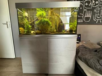 Aquarium inclusief vissen beschikbaar voor biedingen
