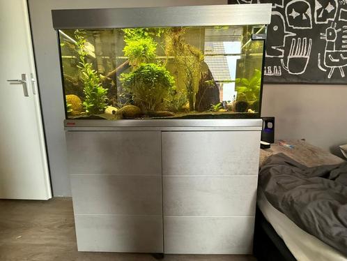 Aquarium inclusief vissen, Dieren en Toebehoren, Vissen | Aquaria en Toebehoren, Zo goed als nieuw, Gevuld zoetwateraquarium, Ophalen