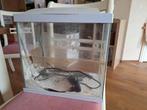Superfish Aquarium, Ophalen, Gebruikt, Leeg aquarium