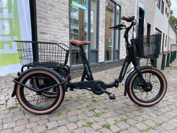Elektrische Driewielfietsen voor Volwassenen 5 Jaar Garantie beschikbaar voor biedingen