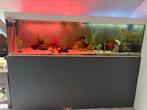 Aqarium compleet, Dieren en Toebehoren, Vissen | Aquaria en Toebehoren, Ophalen, Gebruikt