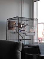 Agapornissen  met kooi 100 euro, Dieren en Toebehoren, Ophalen, Zo goed als nieuw, Kooi-accessoires