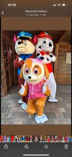 Paw Patrol en meer, Ophalen of Verzenden