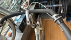 Gazelle bloom, Ophalen, Gebruikt, Dubbele standaard, 56 cm of meer