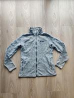 Patagonia fleece lichtgrijs dames XL, Kleding | Dames, Truien en Vesten, Maat 42/44 (L), Patagonia, Ophalen of Verzenden, Grijs