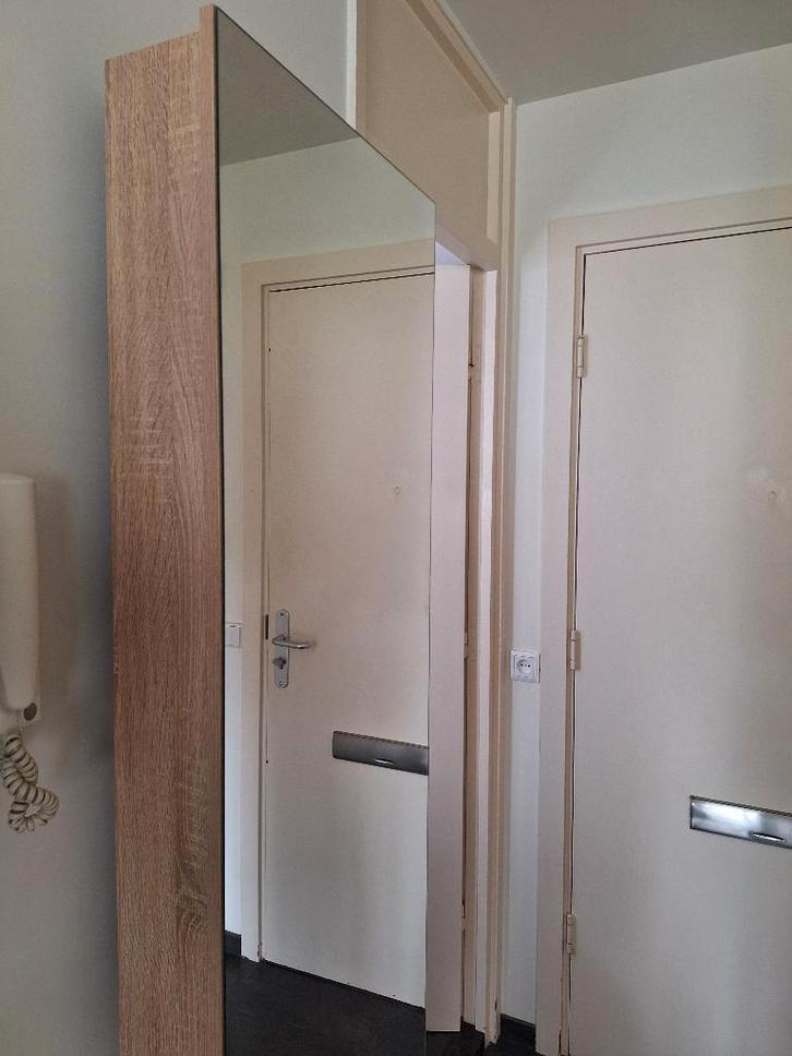 Tall Mirror Storage Cabinet / Hoge spiegelkast, Huis en Inrichting, Kasten | Stellingkasten, Zo goed als nieuw, Ophalen