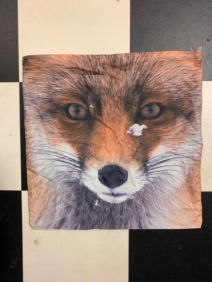 8 sfeervolle Kussenslopen met winterdieren, Huis en Inrichting, Woonaccessoires | Kussens, Nieuw, Overige kleuren, Vierkant, Ophalen of Verzenden