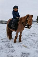 Super brave lieve bixie peuter pony, Dieren en Toebehoren, Merrie