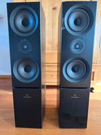 Linn Keilidh Speakers - werkend met beschadiging, Gebruikt, 60 tot 120 watt, Front, Rear of Stereo speakers, Ophalen