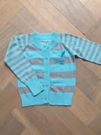 Beets vest maat 104, Kinderen en Baby's, Kinderkleding | Maat 104, Meisje, Trui of Vest, Ophalen of Verzenden, Zo goed als nieuw