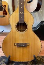 Fern Weissenborn Lapsteel, Muziek en Instrumenten, Ophalen, Zo goed als nieuw, Overige typen, Met koffer