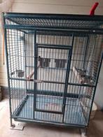Oude Ara kooi gebruikt wegens stoppen hobby. Nu ophalen €50, Dieren en Toebehoren, Ophalen, Gebruikt, Metaal, Vogelkooi